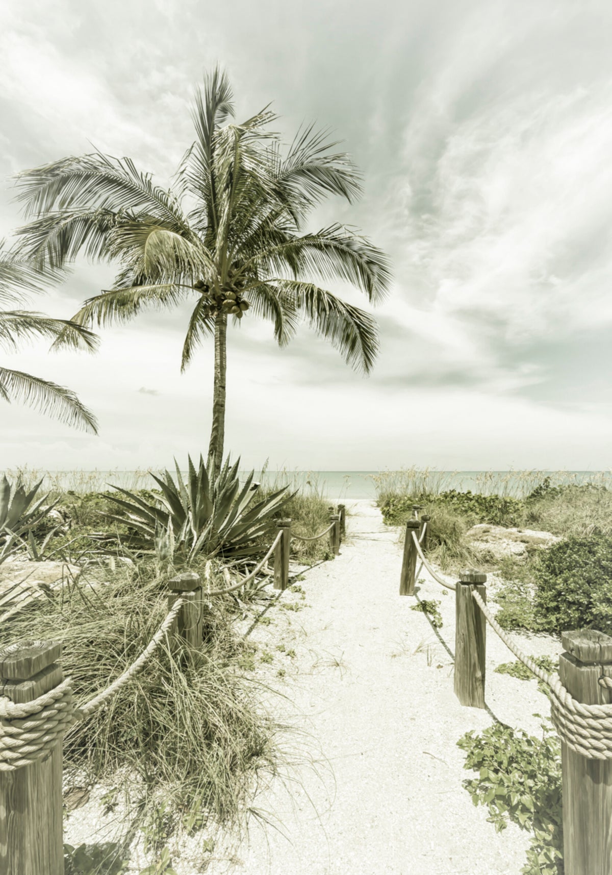 Tropisch strandpad