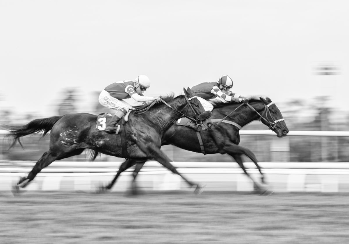Dynamische paardenrace