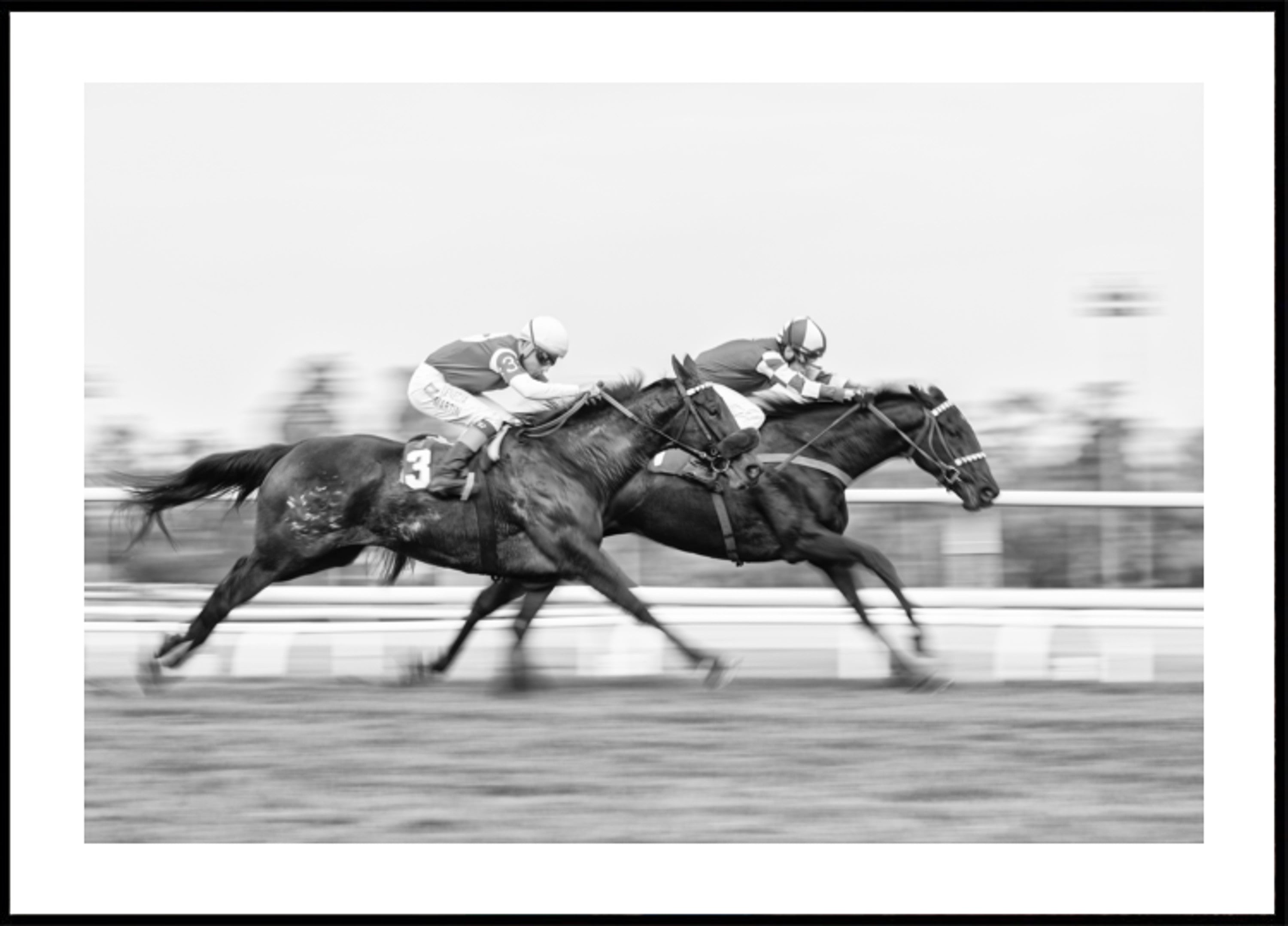 Dynamische paardenrace