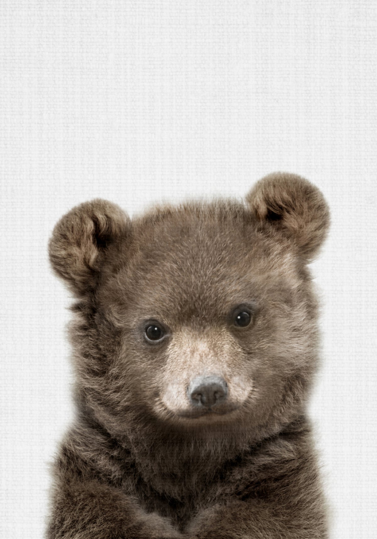 Schattige beerwelp