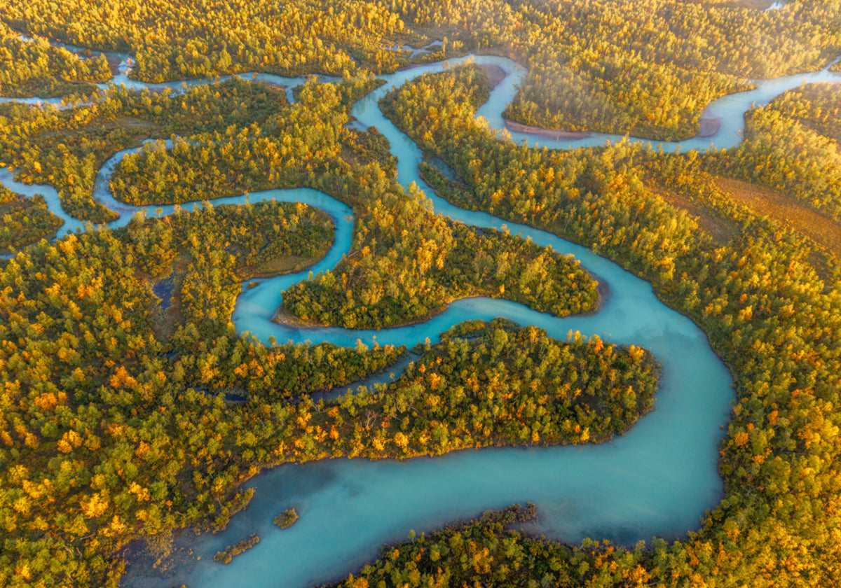 Kronkelende rivier herfstbos