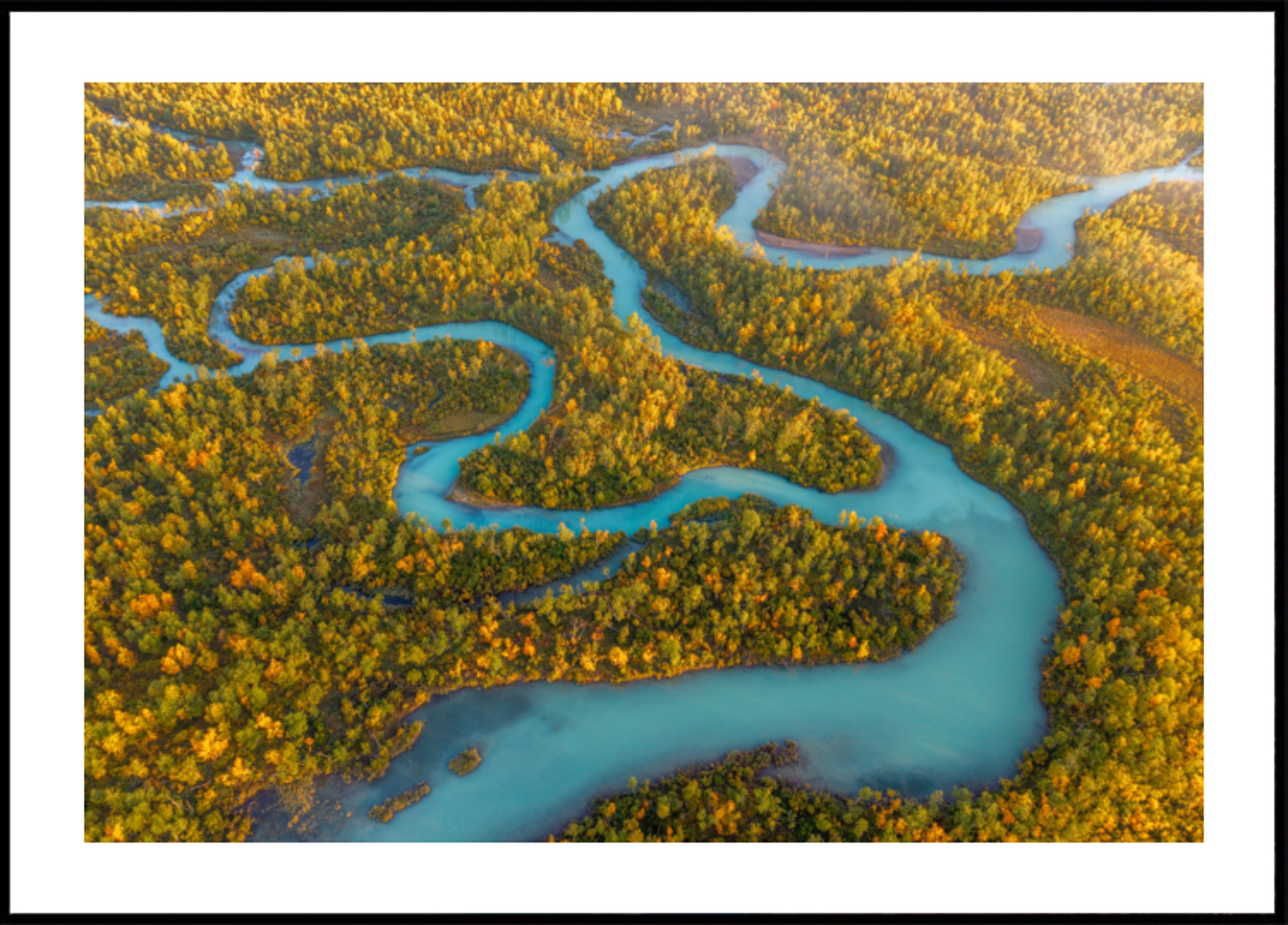 Kronkelende rivier herfstbos