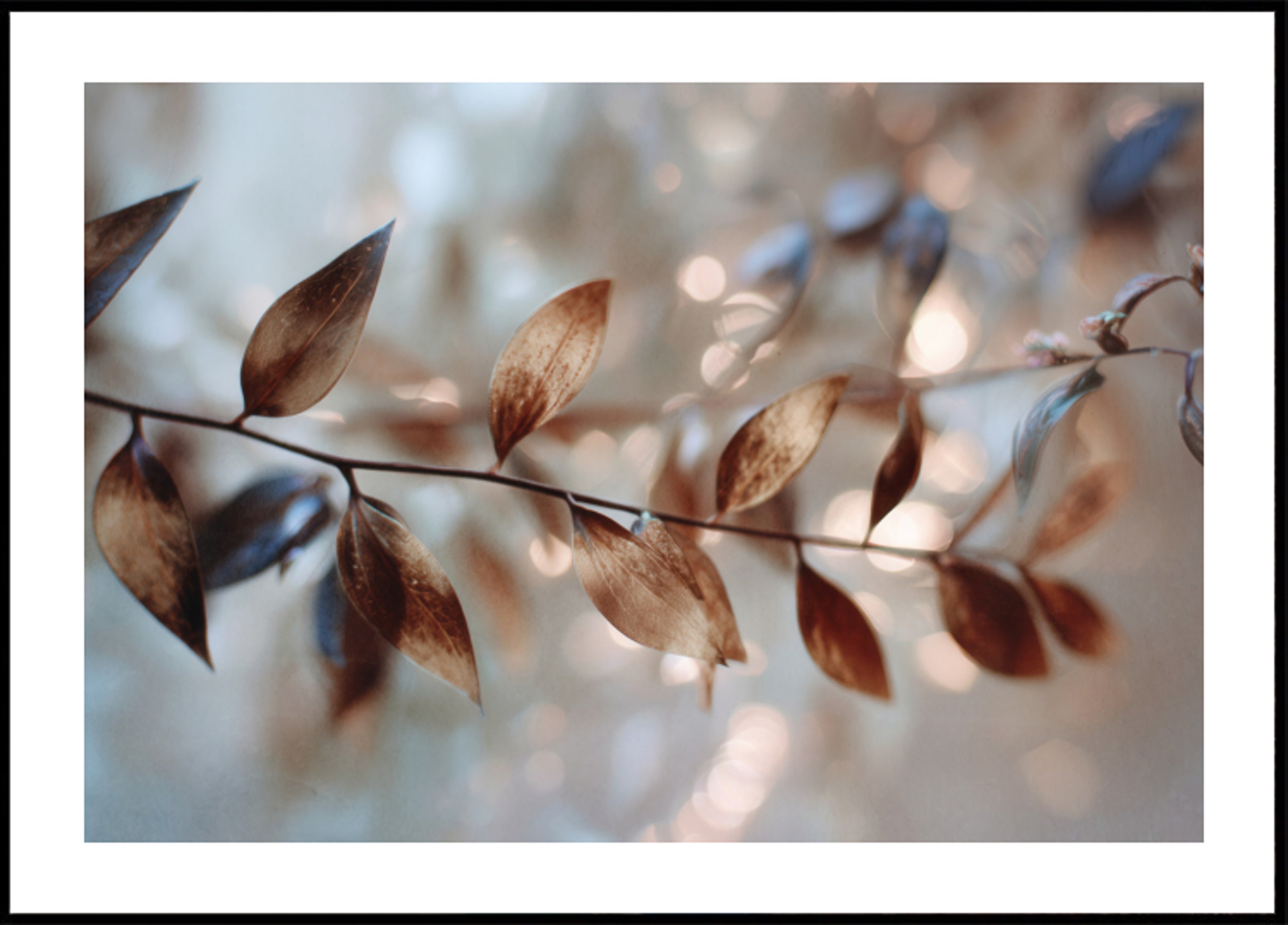 Fijne Bokeh-bladeren