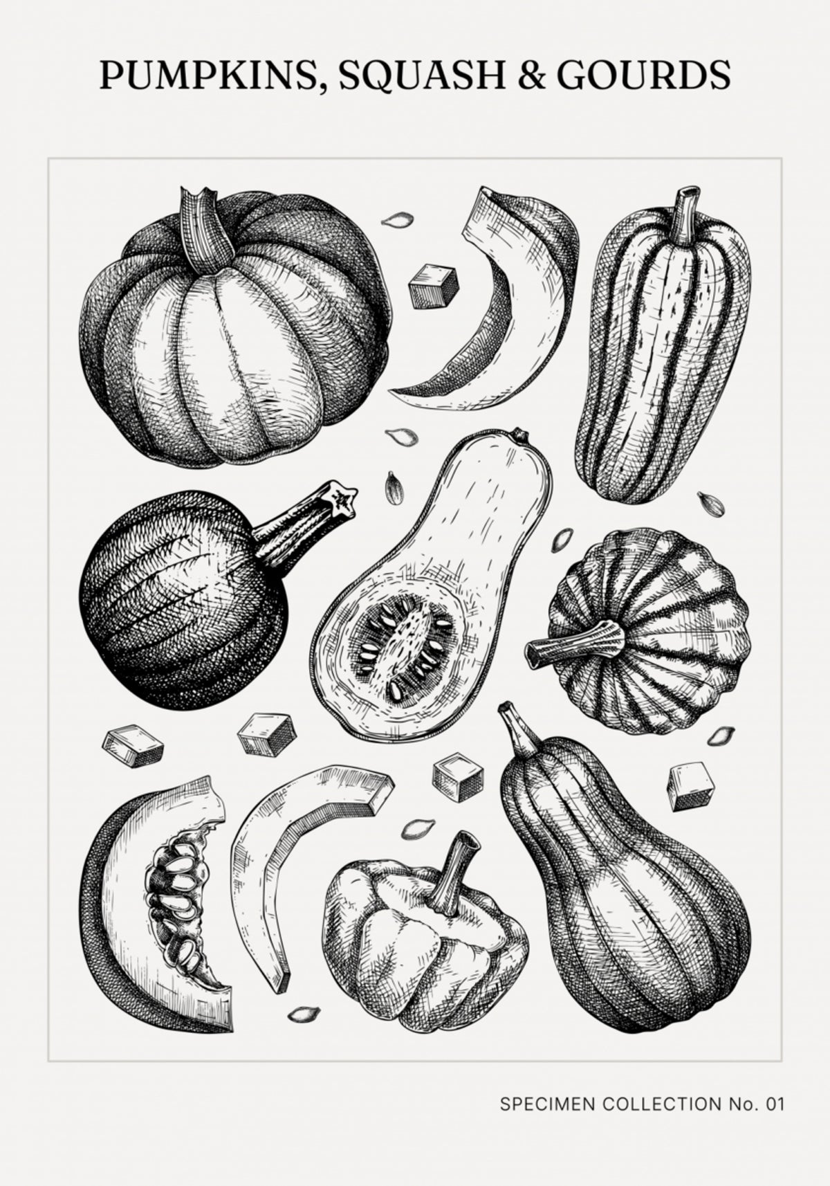 Vintage Botanische Pompoenen