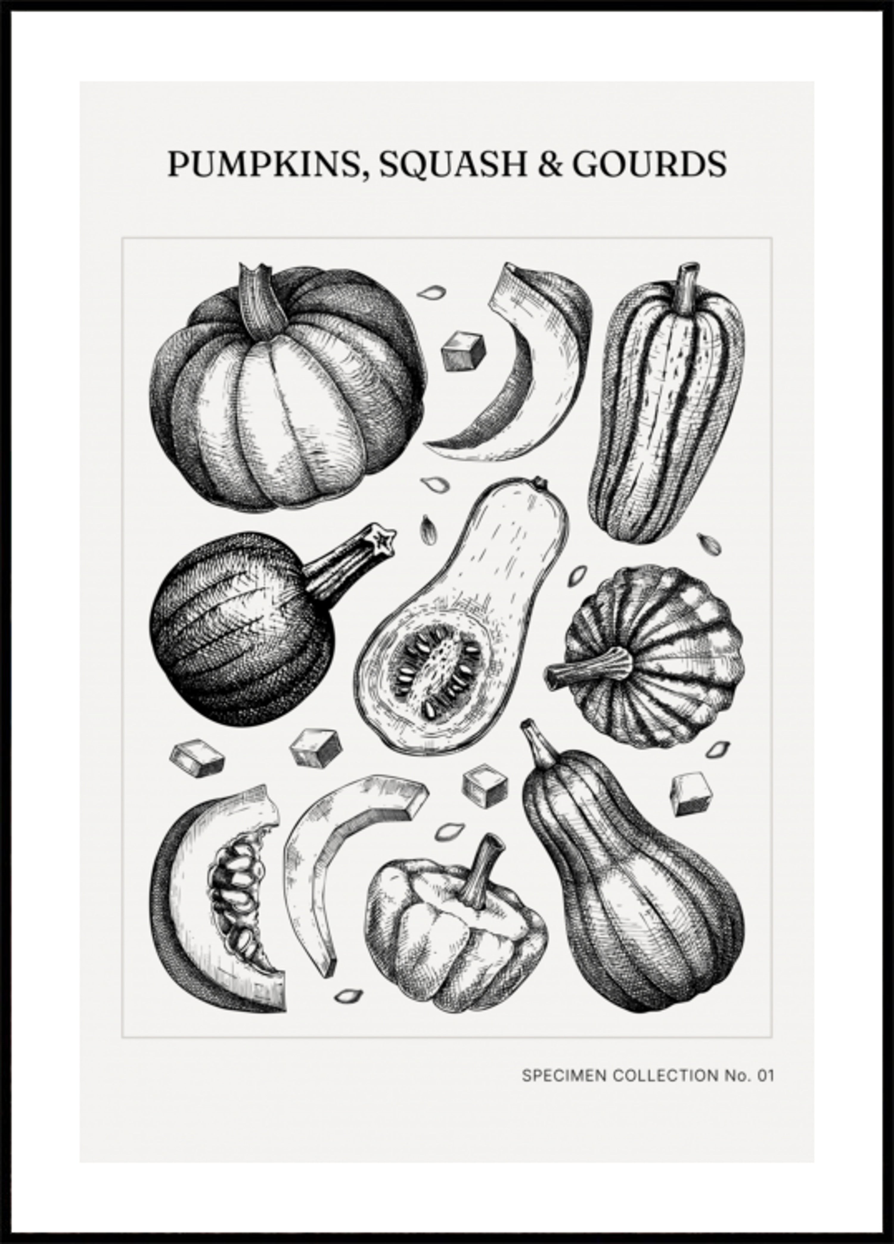 Vintage Botanische Pompoenen