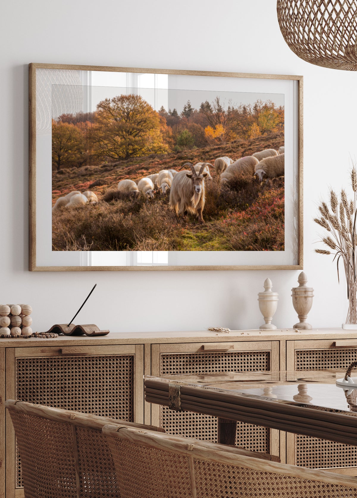 Herfstgeit en schaap