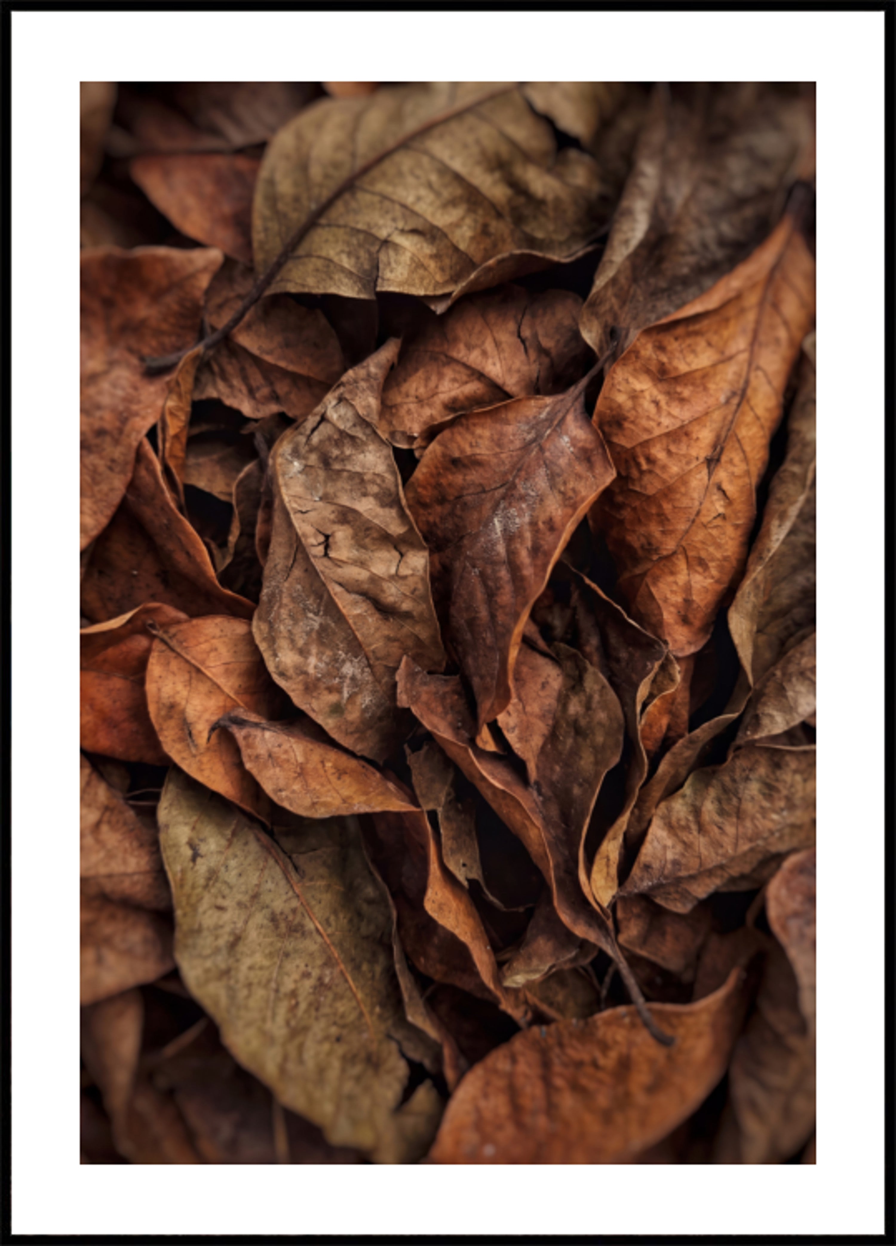 Getextureerde herfstbladeren
