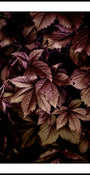 Herfstbladeren 13