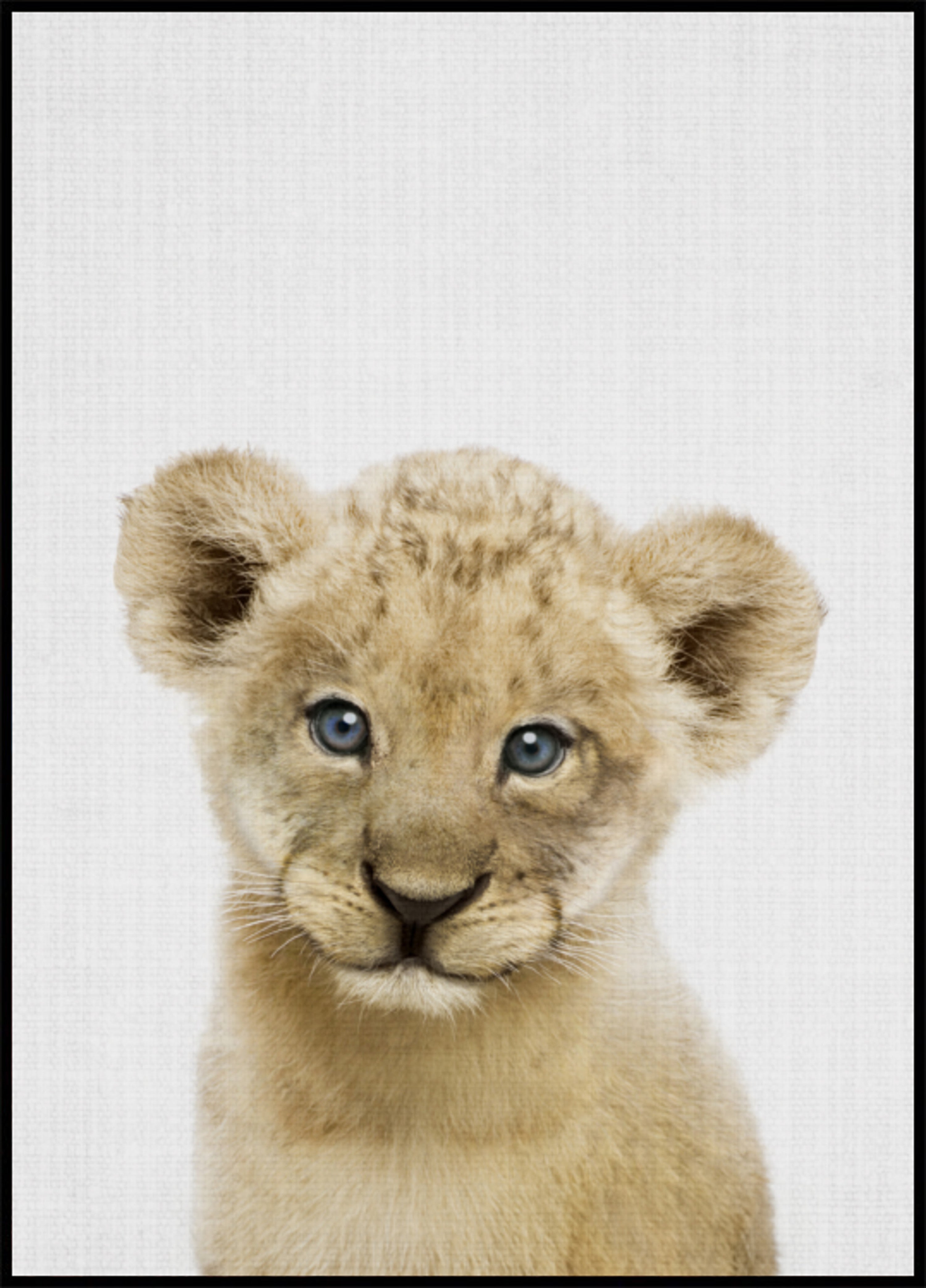 Lieve leeuwenwelp