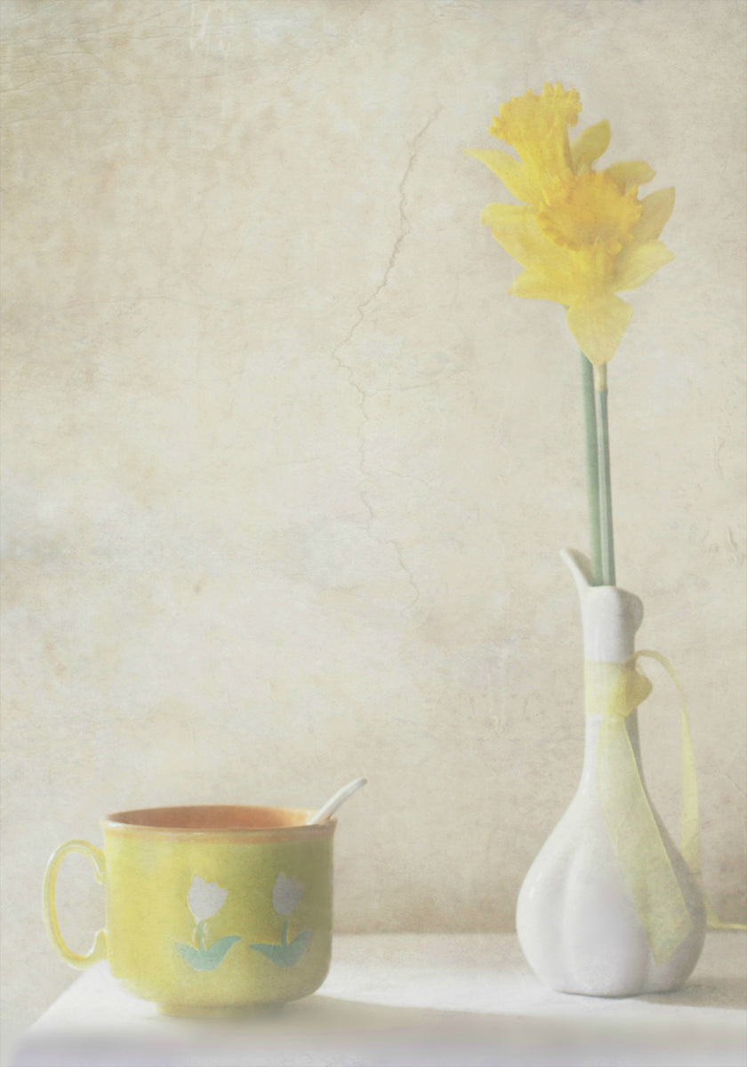 Daffodils (NEW) - Posterbox