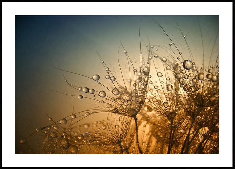 Tender is the Night - Posterbox