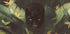 Black Panther Jungle Gaze (NEW) - Posterbox