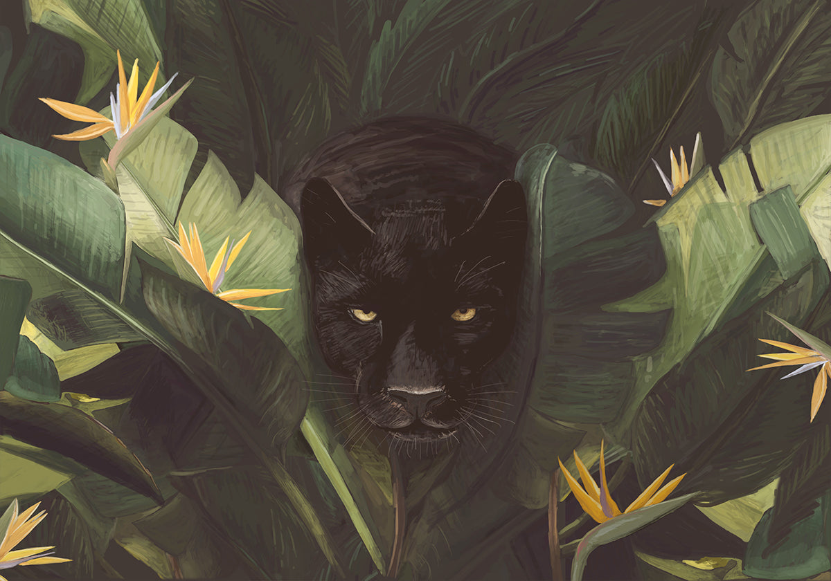 Black Panther Jungle Gaze (NEW) - Posterbox
