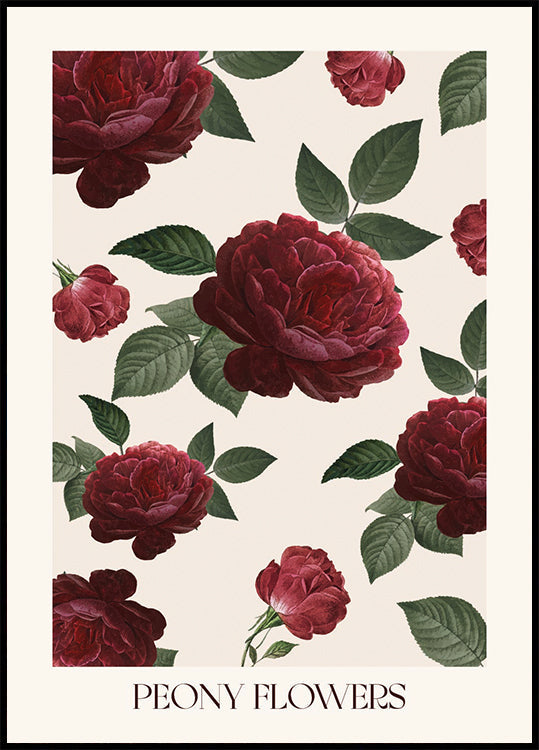 Peony Flowers Plakat - Posterbox.dk