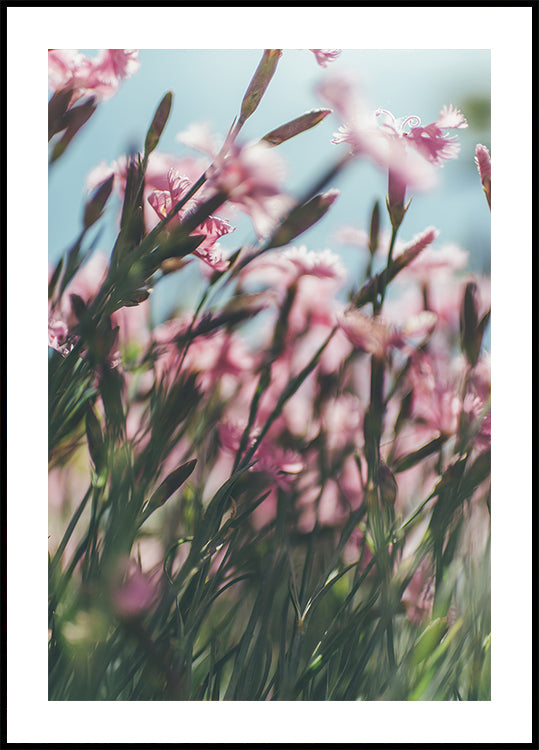 Een close-up van een veld met roze bloemen met groene stengels, waardoor een levendig en natuurlijk tafereel ontstaat.