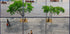 Beehive (NEW) - Posterbox