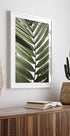 Palm Leaves 24 (NEW) - Posterbox