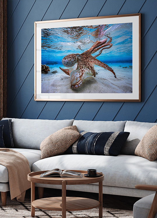 Dansende Octopus-poster