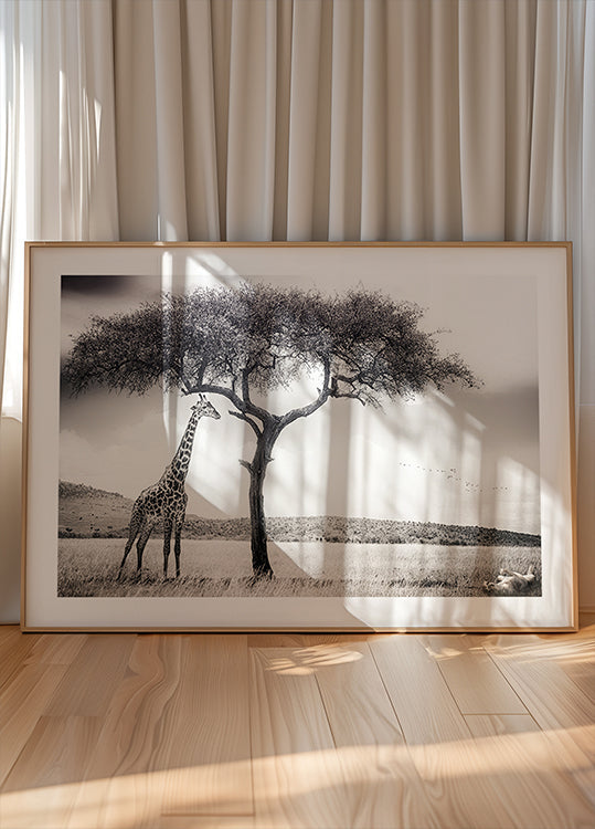 onder de Afrikaanse zonposter