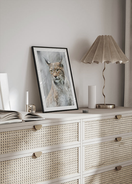 Lynxportret in de mistposter