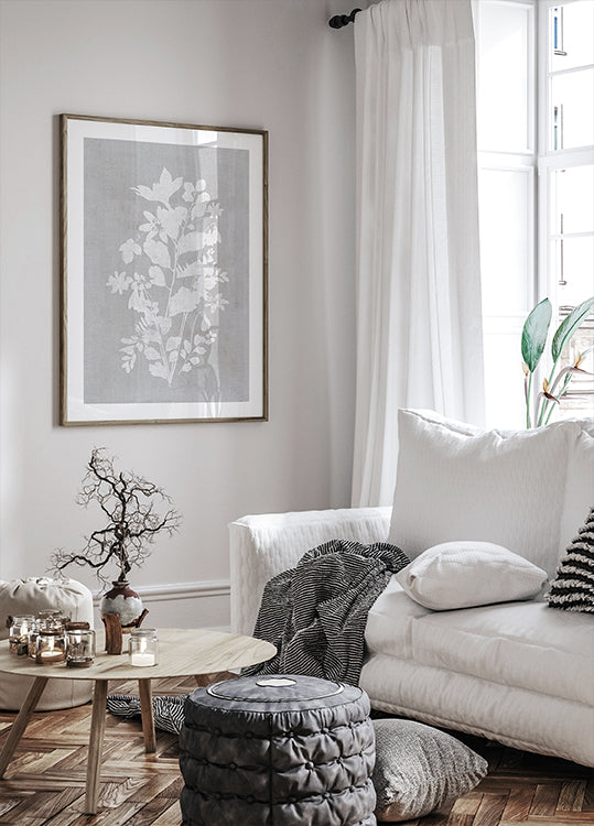 Botanische illustratie 2 poster