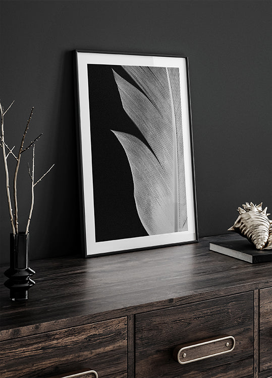 Feather No.5 Plakat