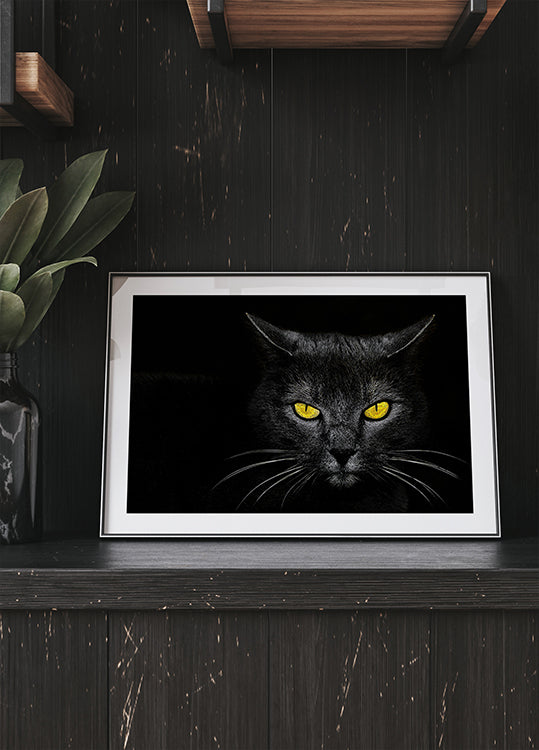 Zwarte kat-poster