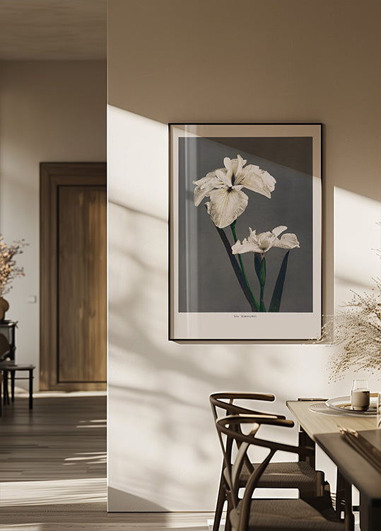 Iris Kæmpferi-poster