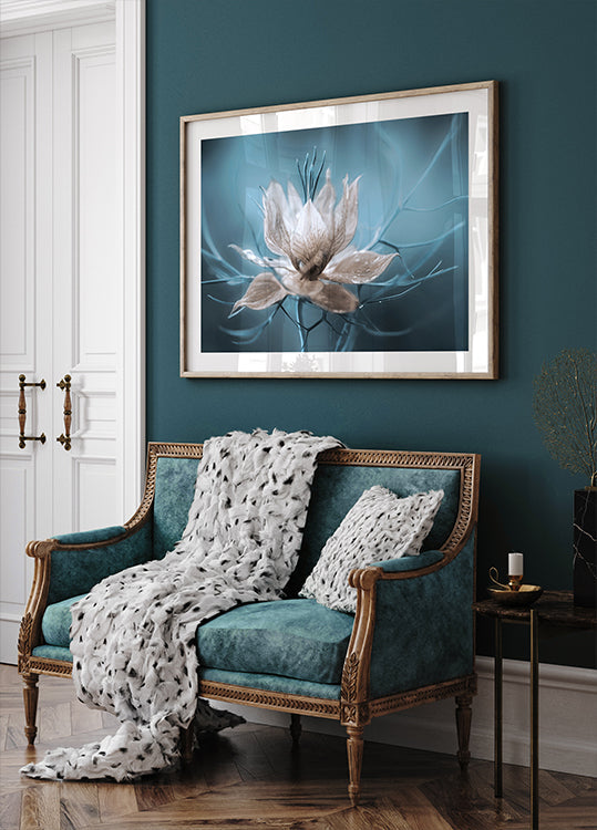 *Nigella*-poster