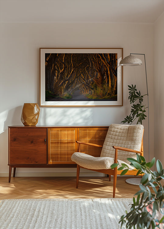 De donkere heggen in de ochtendzon