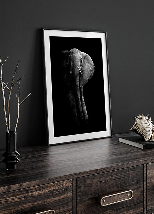Olifant!