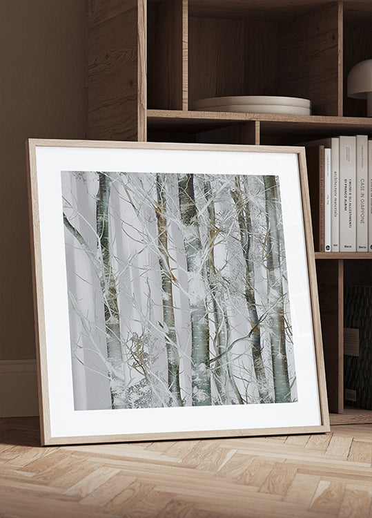 Silver branches Plakater