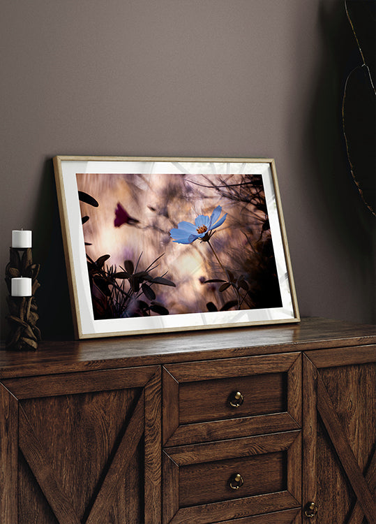 De onverschilligheid