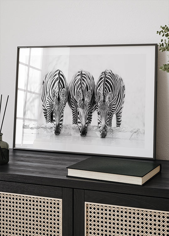 Zebra's affiche