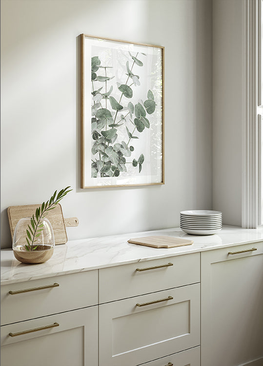 Eucalyptus_003-poster