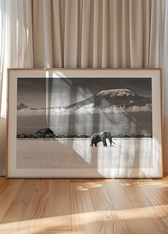 Verloren kleuren II-poster