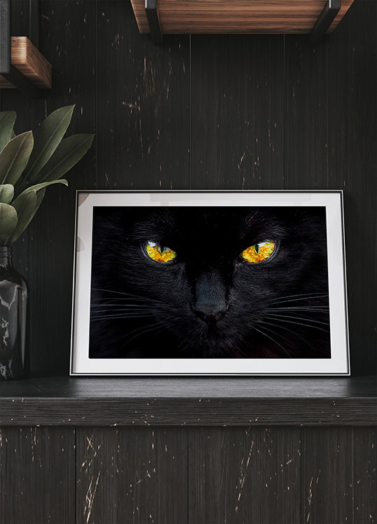 De hypnotiseur van de nacht