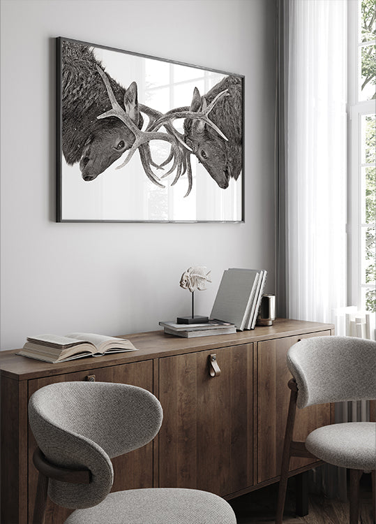 Oog in oog - Poster met elandengevecht