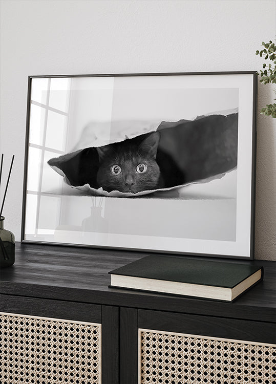 Kat in een zakposter