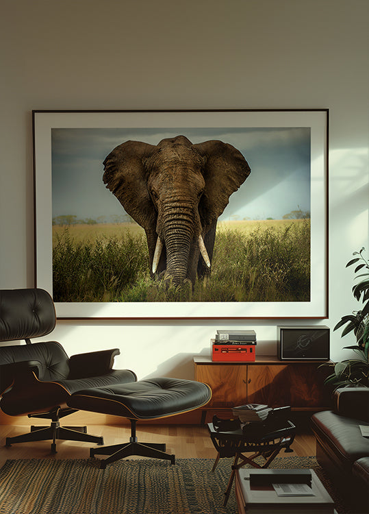 Ontmoetingen in de Serengeti