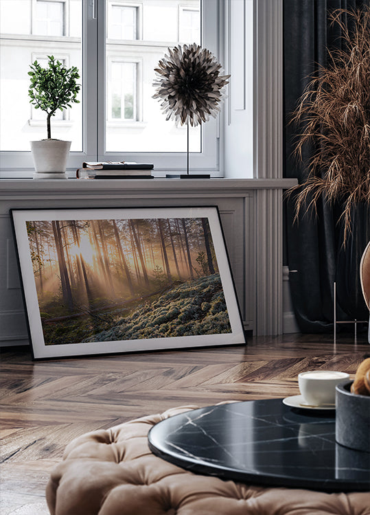 Mist in het bos met wit mos op de voorgrond Poster