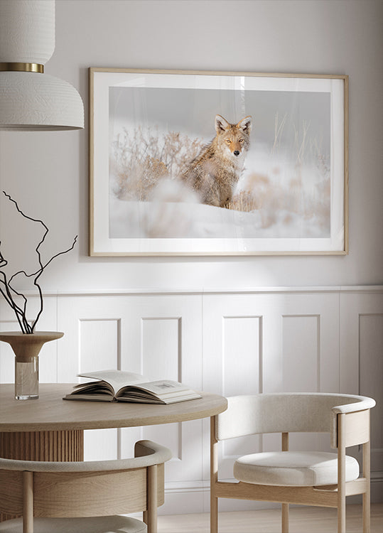 Coyote zittend op de sneeuw-poster