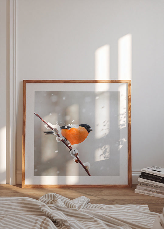 Goudvink in een sneeuwstorm Posters