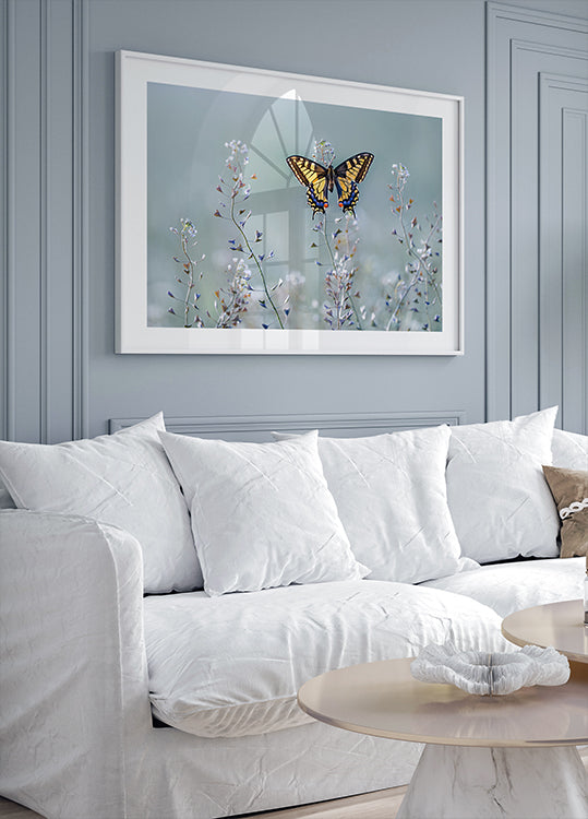 Zwaluwstaart schoonheid