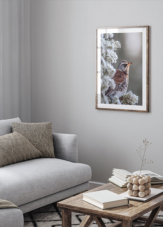 Kramsvogel in een winterse omgeving Poster
