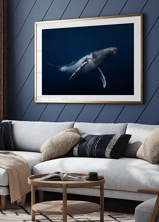 Bultrug in blauwe Poster