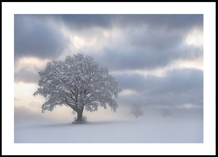 Cold morning Plakat - Posterbox
