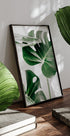 Monstera Bladeren Poster - Posterbox.dk