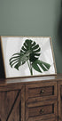 Monstera Plant №1 Plakat - Posterbox.dk