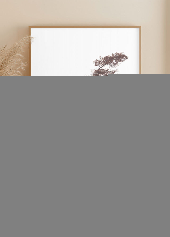 Sculpturale dennenposter